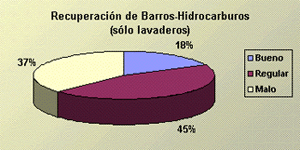 Recuperacin Barros e Hidrocarburos